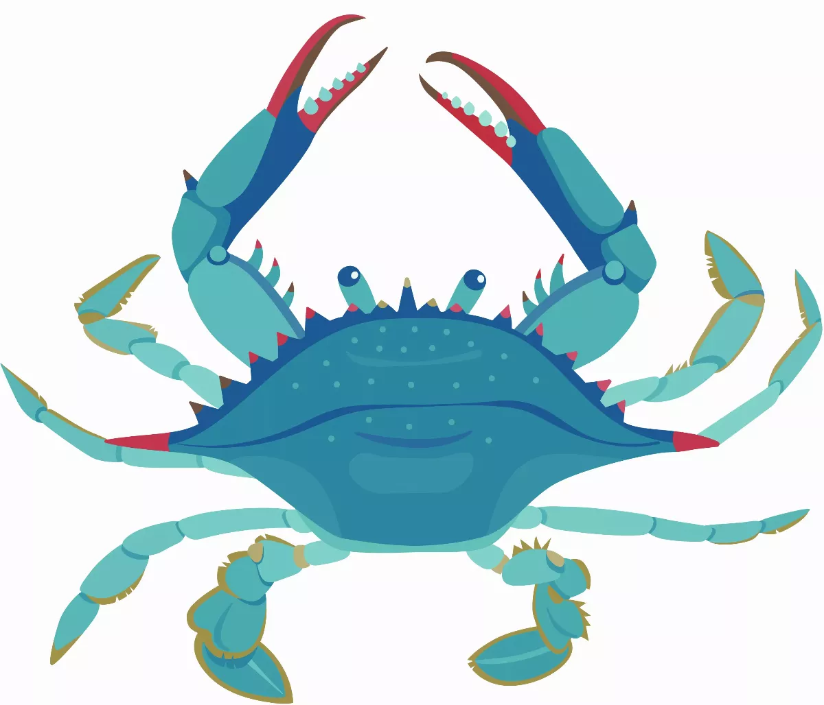陸蟹與海蟹