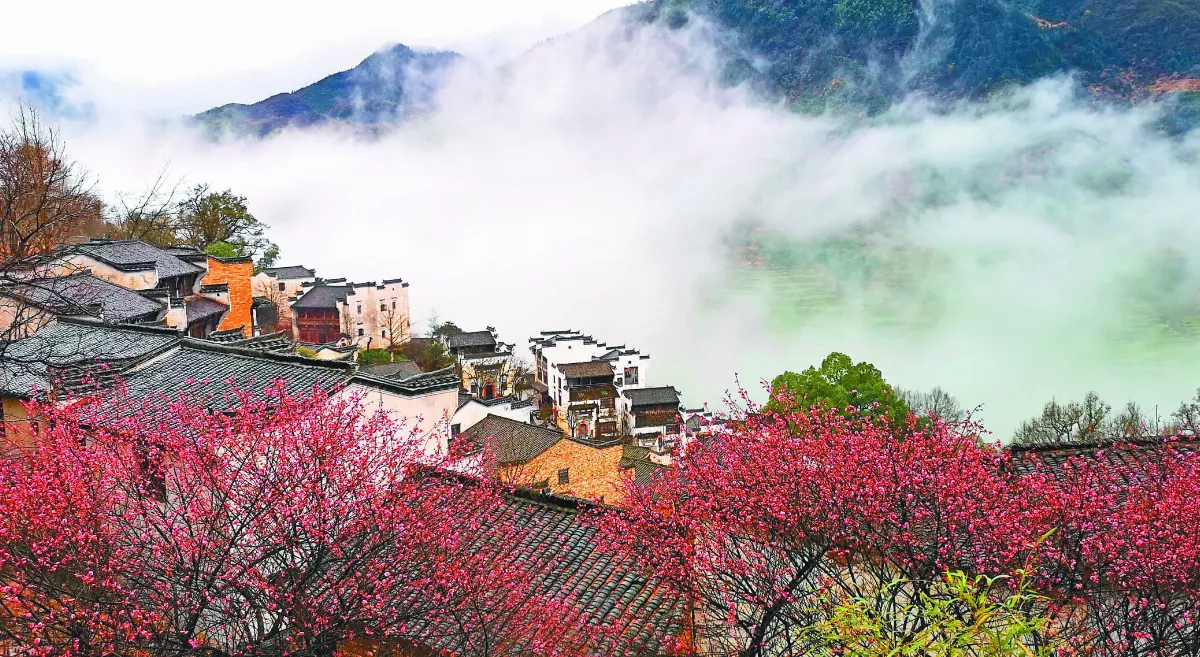 【微文創大翻轉】 篁嶺古村 晾晒出名 包袱變財富