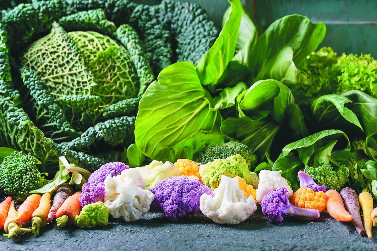 高鈣美食 應用起司作料理