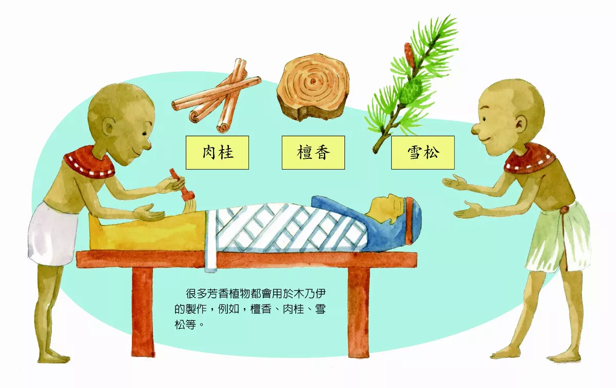 植物飄香萬里