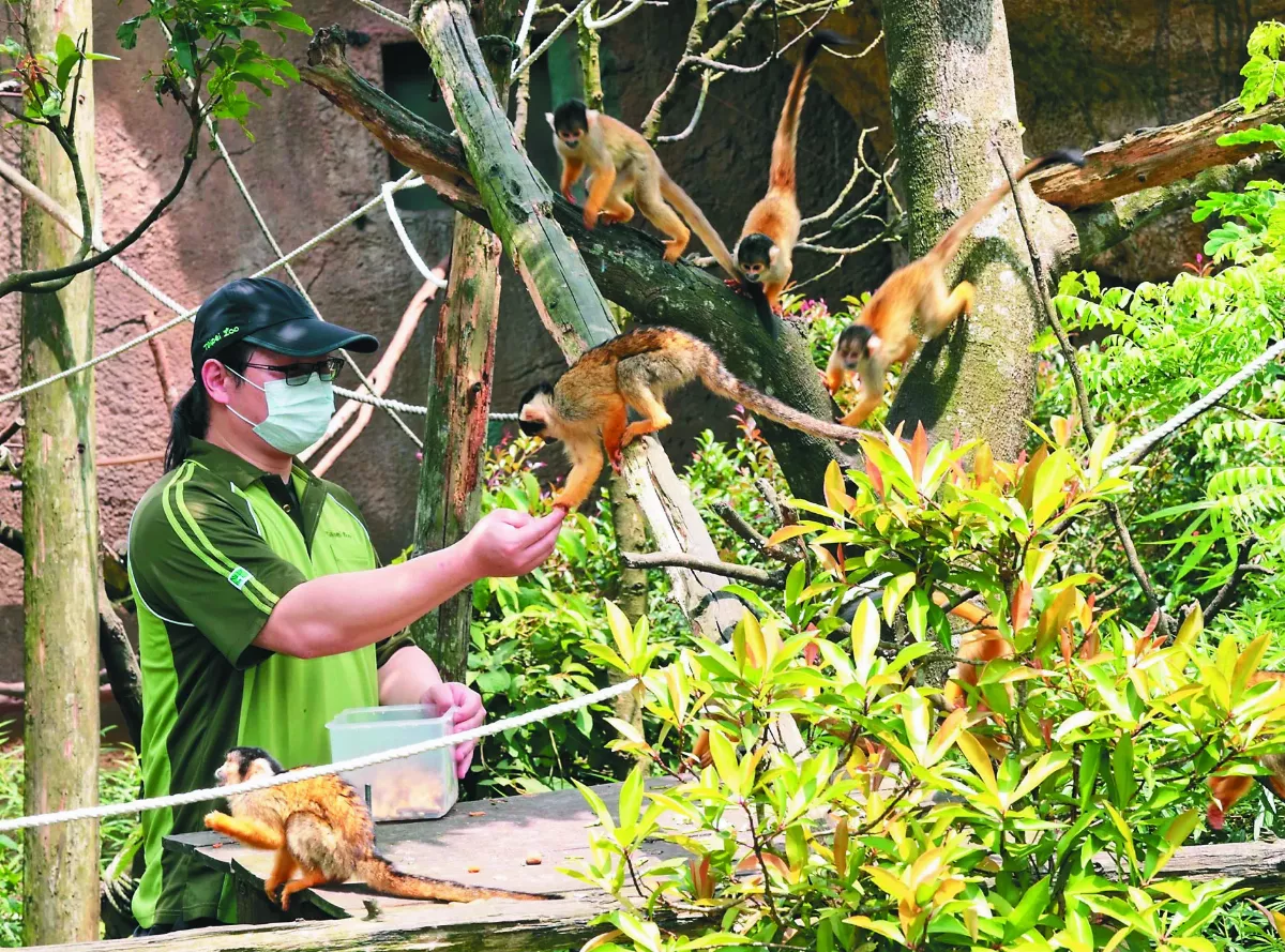 危險加給逾30年未調 夢幻動物園保育員  成血汗勞工