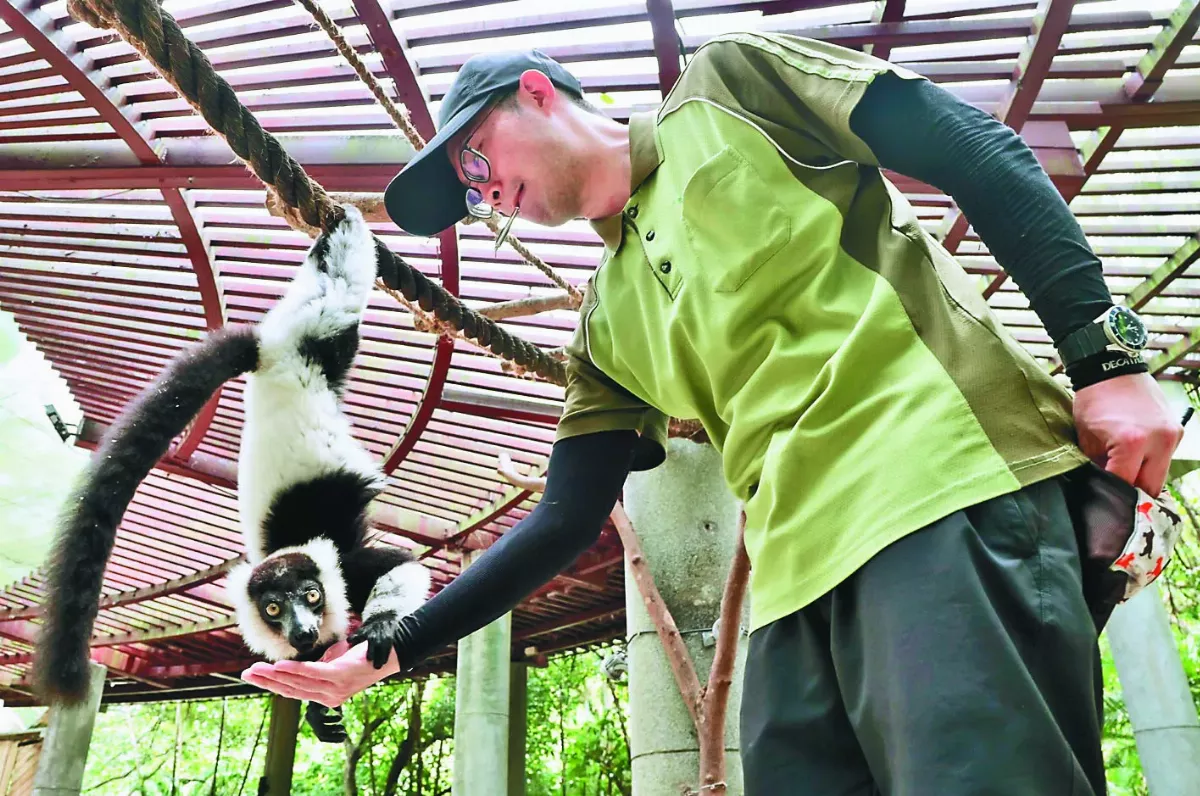 危險加給逾30年未調 夢幻動物園保育員  成血汗勞工