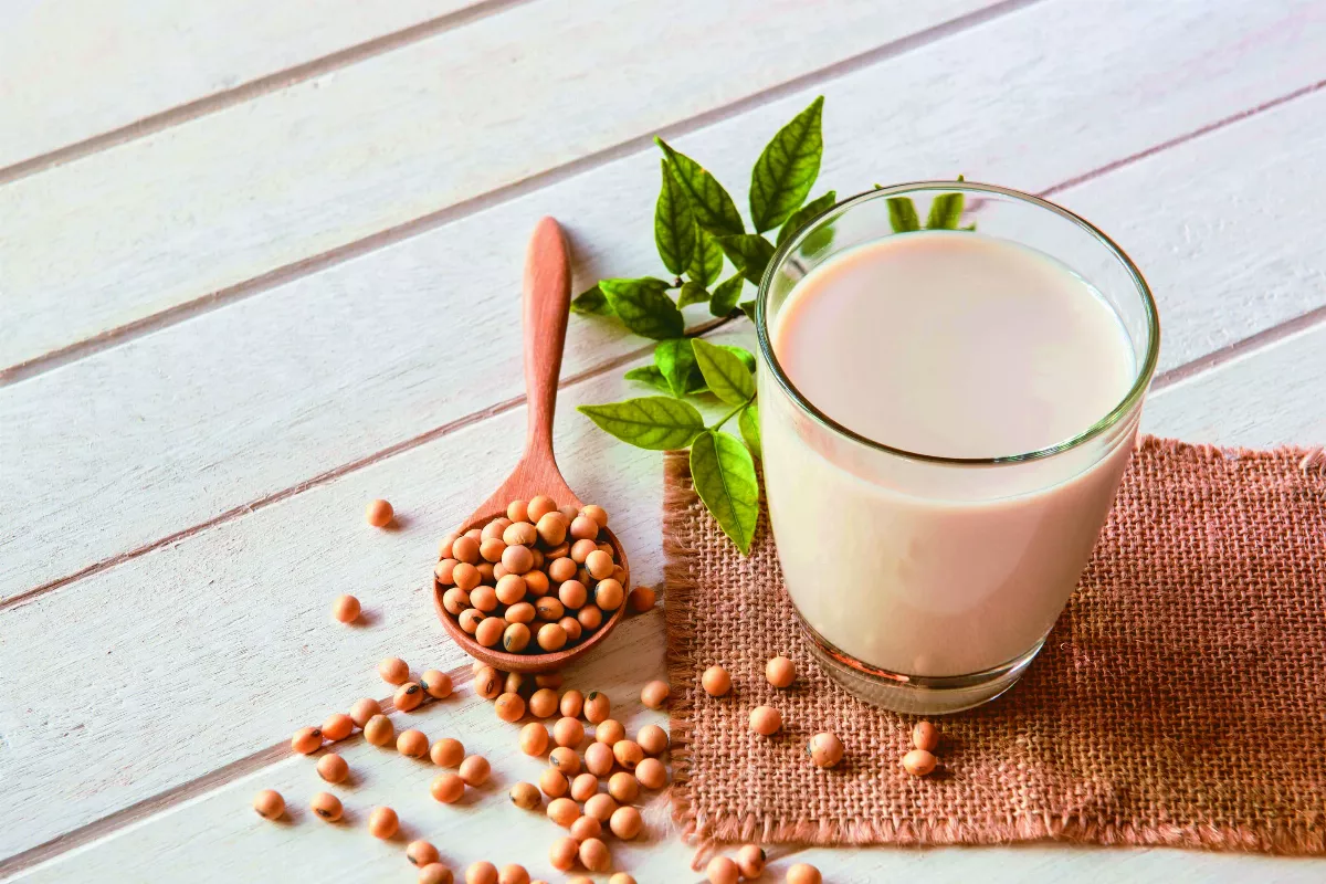 豆漿含優質蛋白質 取代肉類健康飲品