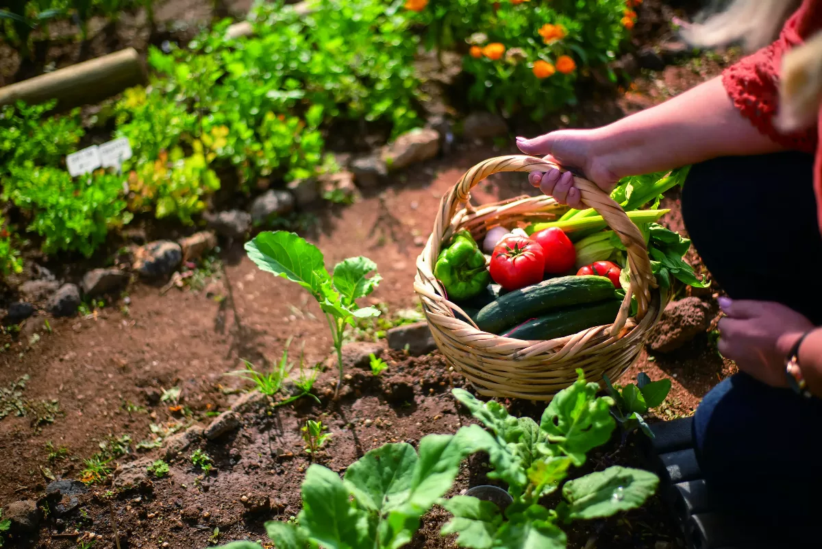 感恩的習慣 是處世的榜樣