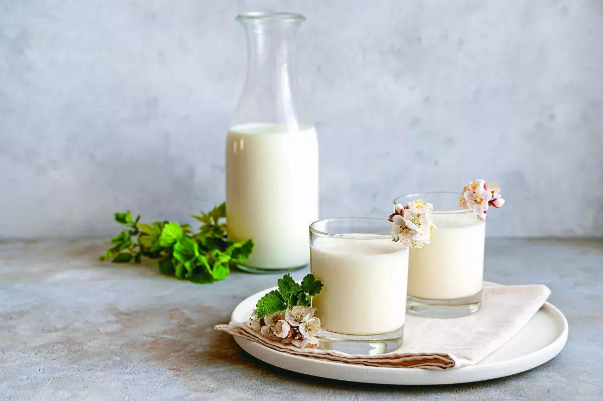 蔬適生活 全素飲食 吃對更健康