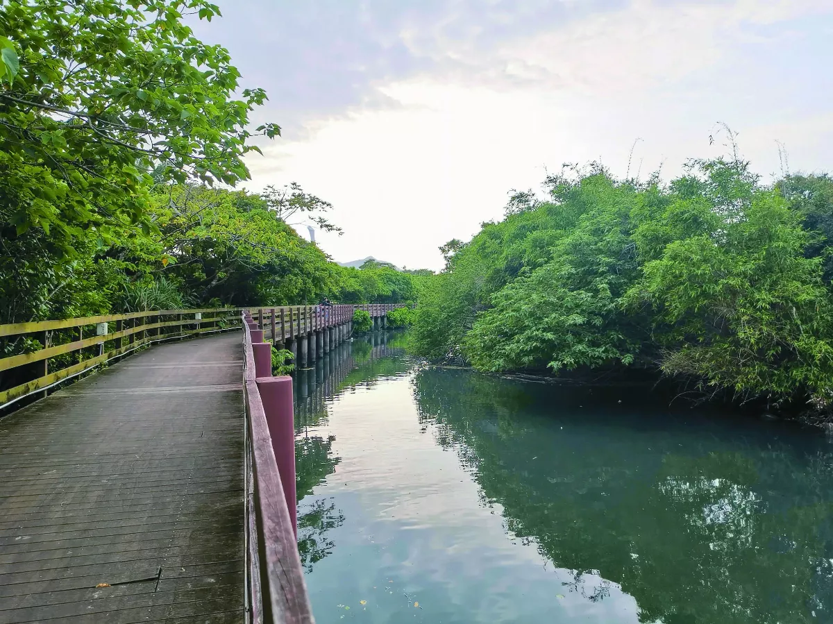 【走讀城鄉】洲美絕景 舊雙溪河步道