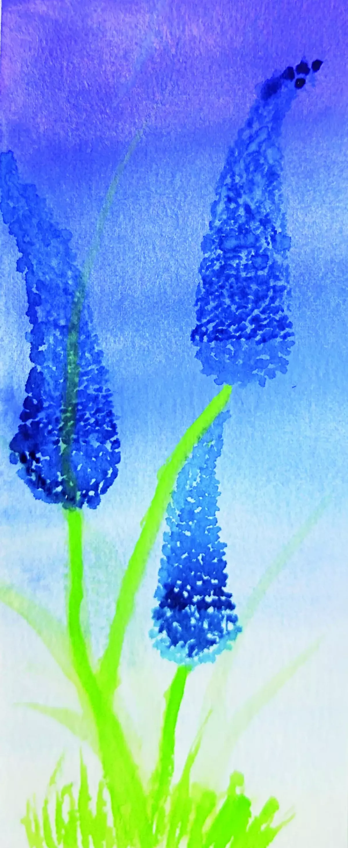 【快樂塗鴉簿】心中最美的那朵花