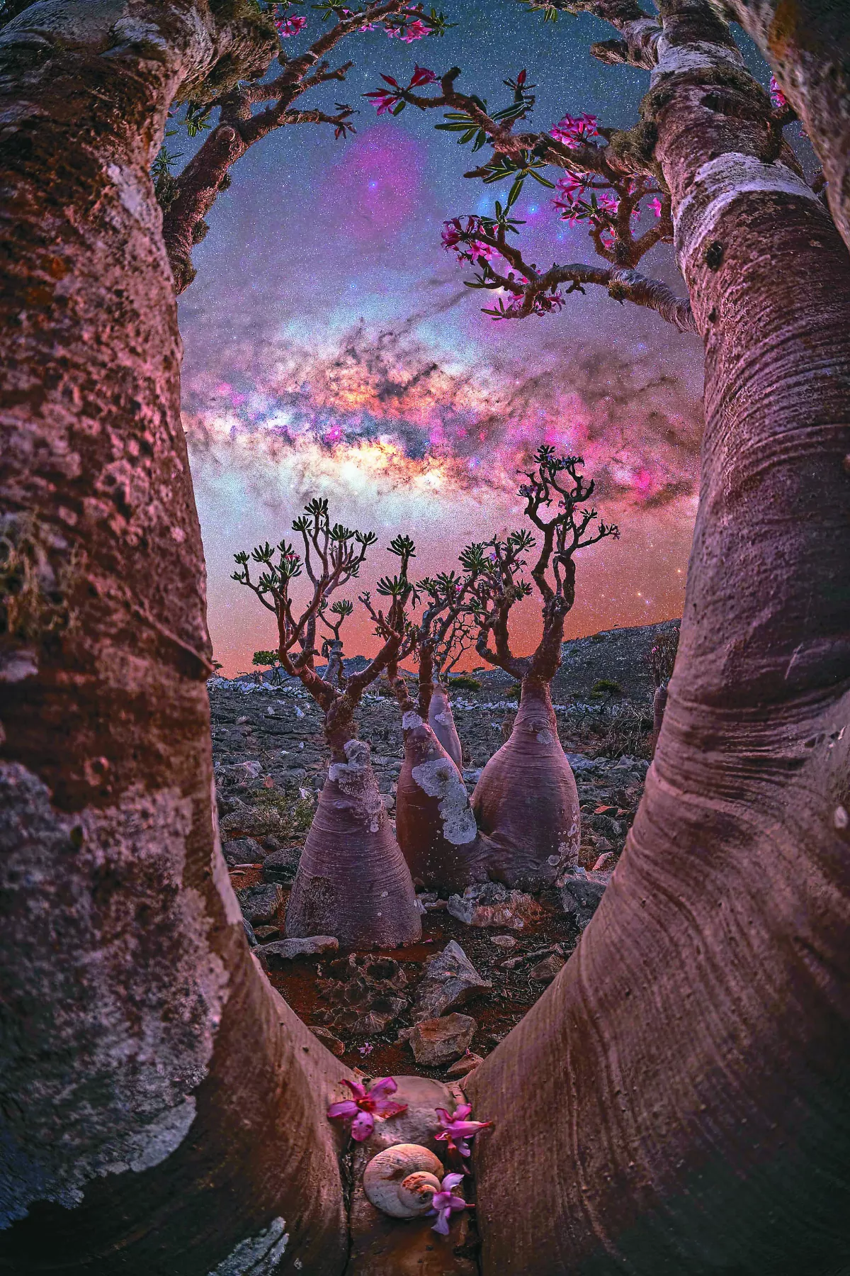 銀河攝影賽 拉近地球宇宙距離