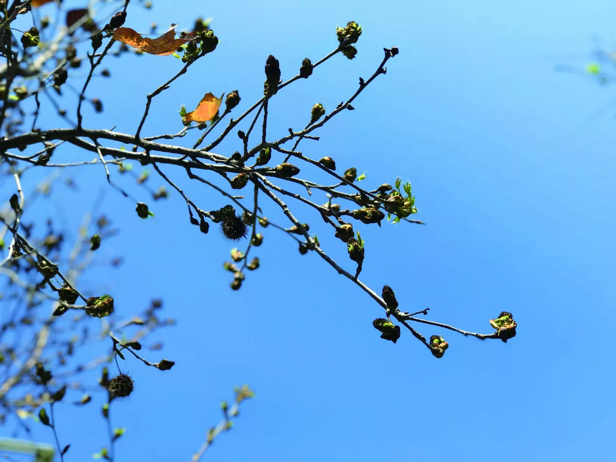【分享時刻】 走在陽光下