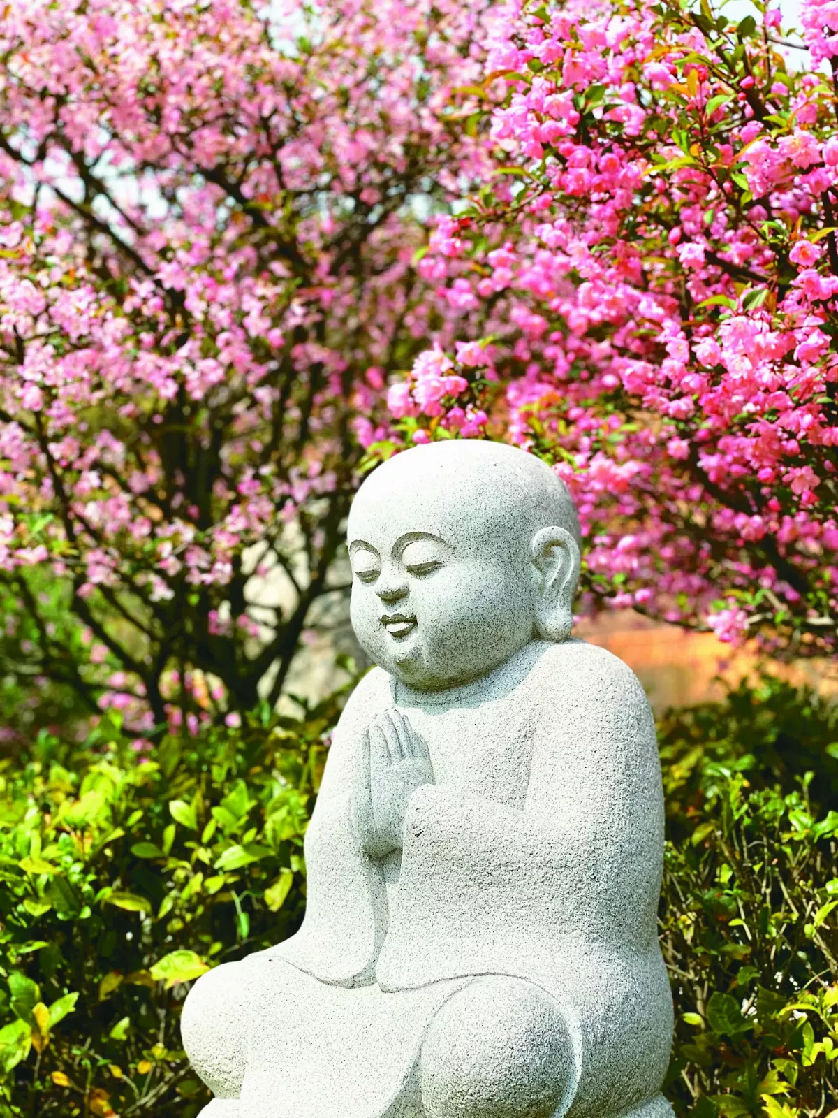 【佛法真義2 佛法義理55】皈依