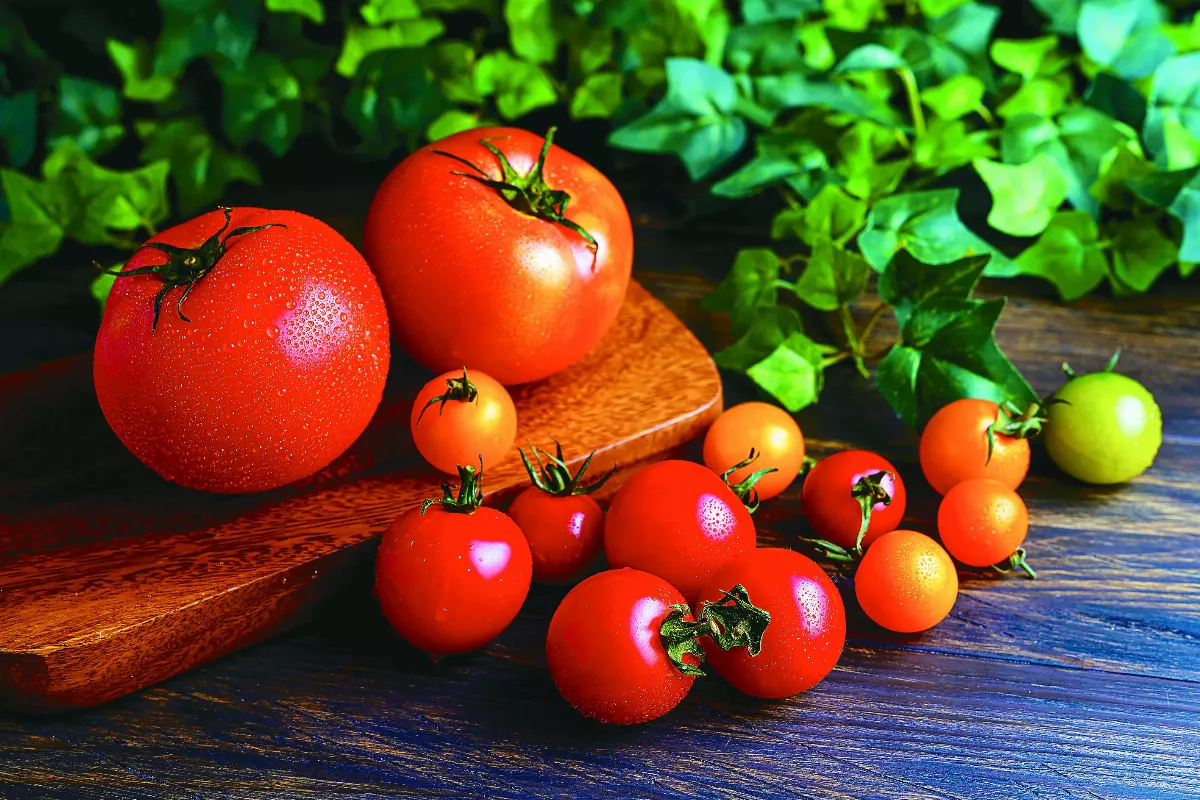 大番茄熟食營養高 小番茄適合當點心