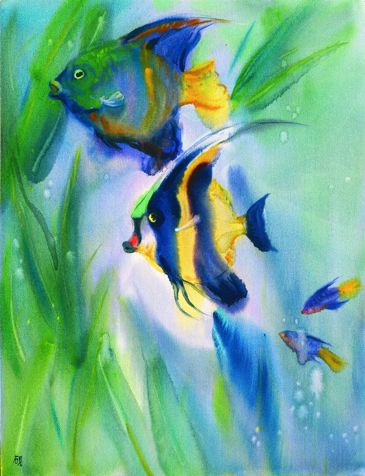 【浮世畫框】神仙魚