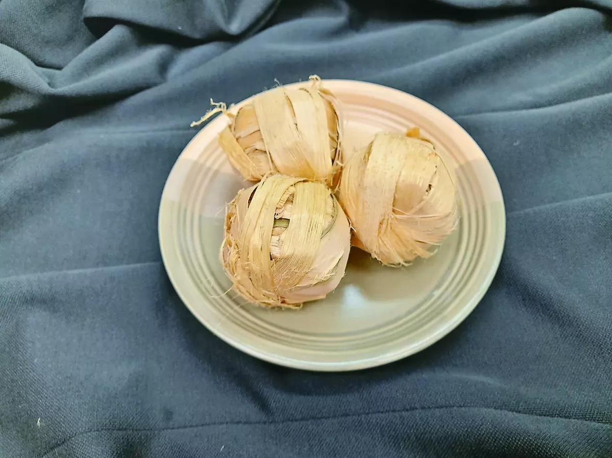 【中醫專欄】 腦霧健忘看中醫