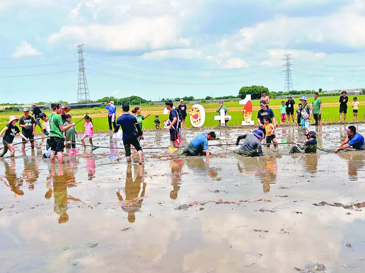 稻田運動會 泥巴中拔河