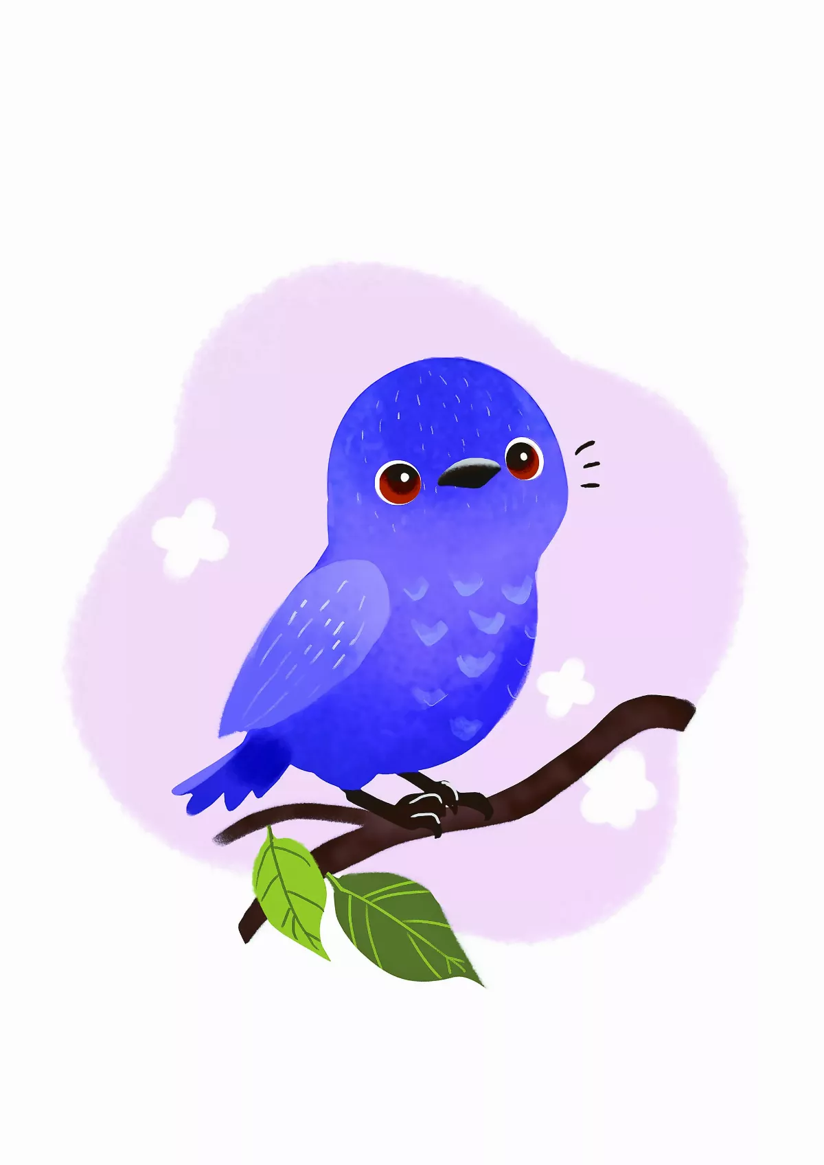 【趣味動物園】 台灣紫嘯鶇