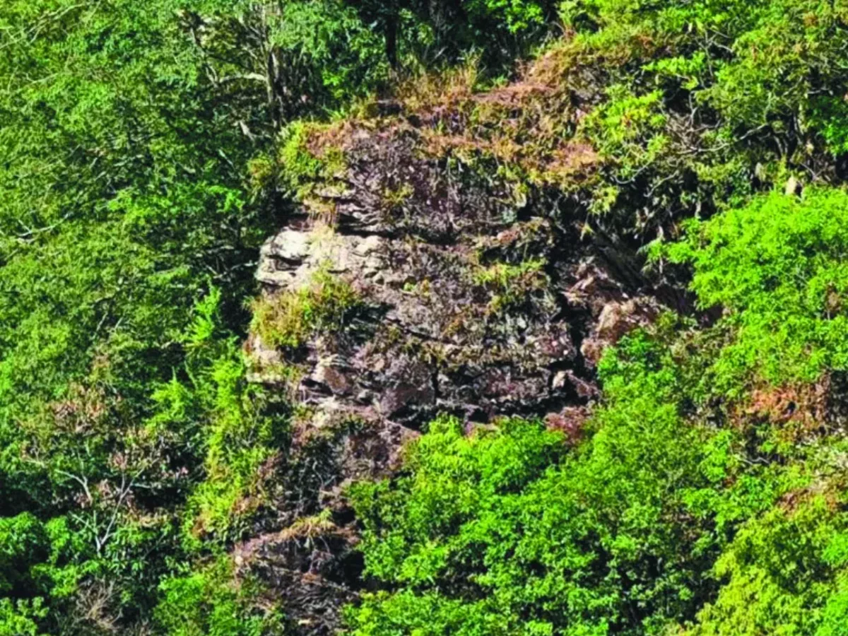南投仁愛山區 藏五官清晰人頭石