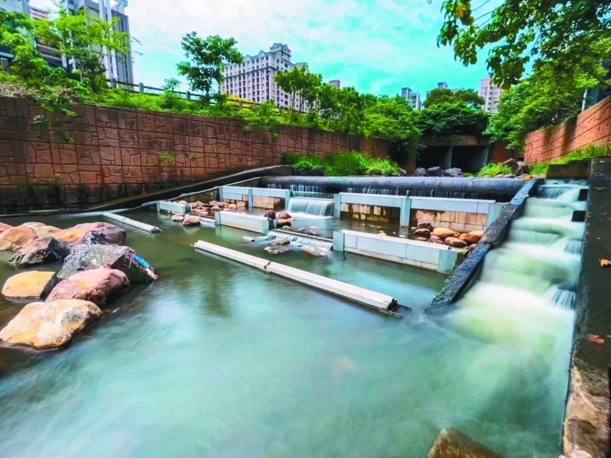階梯魚道助洄游