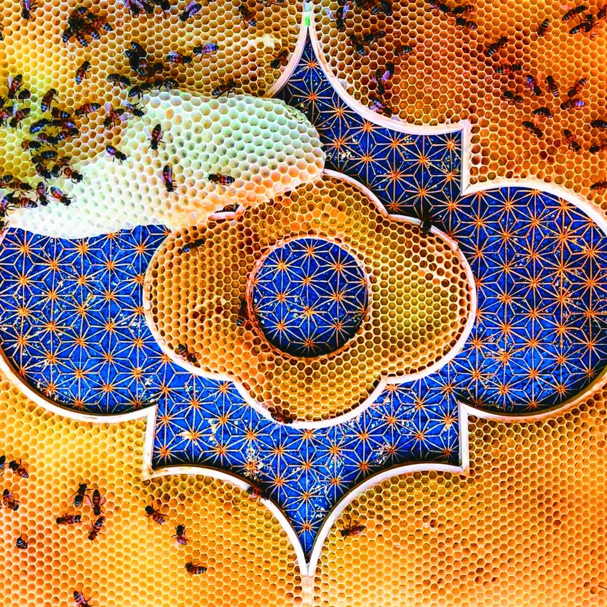 向偉大女性致敬 刺繡蜂巢 2.5 萬蜜蜂變藝術家
