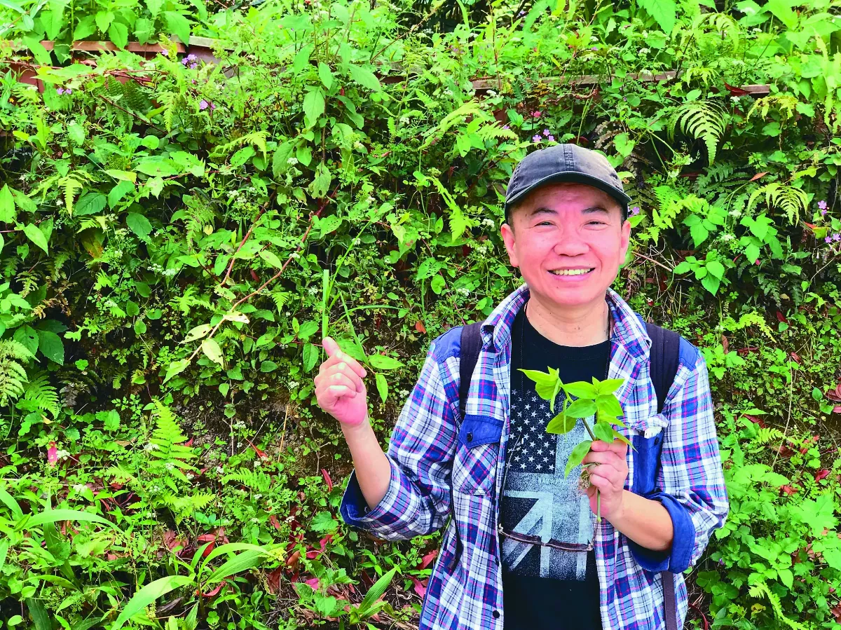李嘉梅 以台灣青草療癒生活