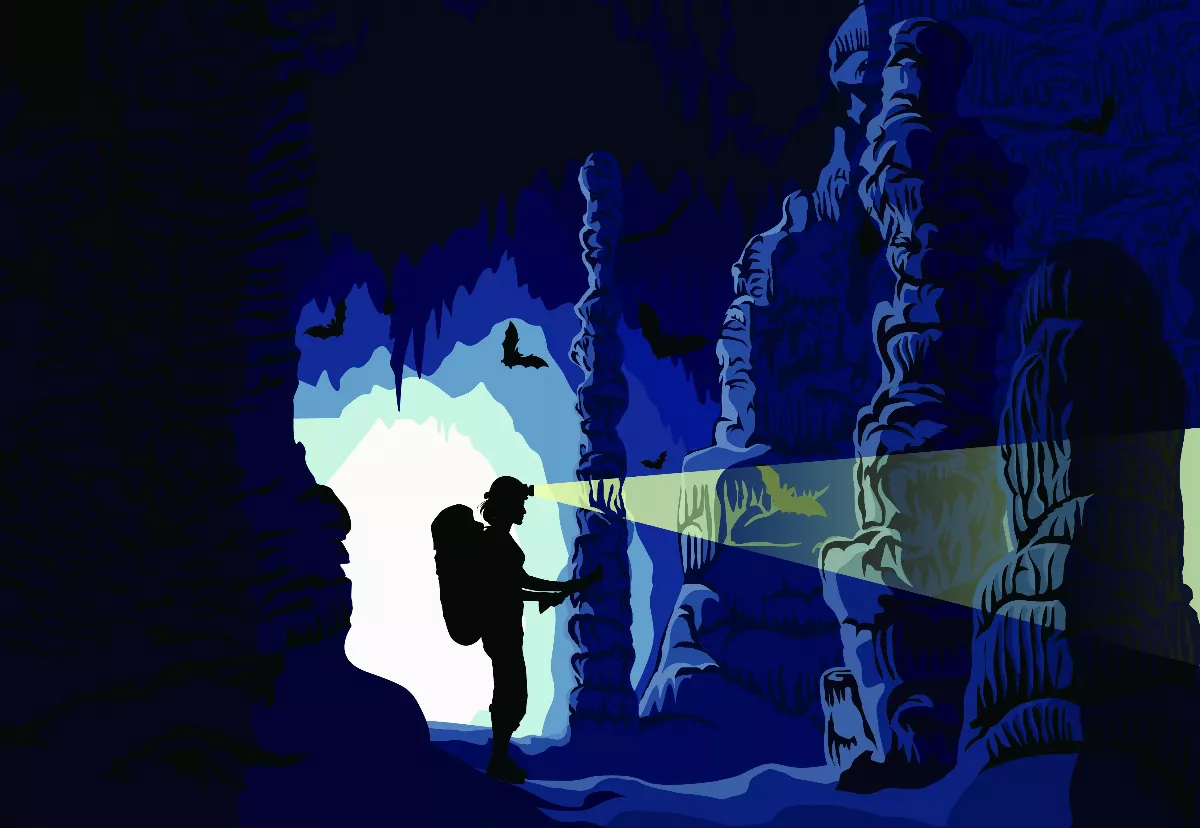 鐘乳石 大自然之鬼斧神工