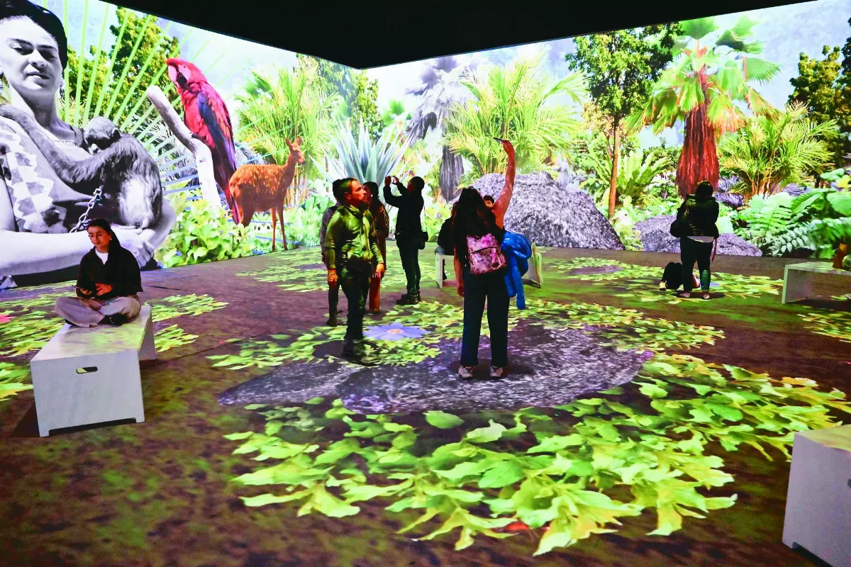 墨西哥女畫家 沉浸式展出