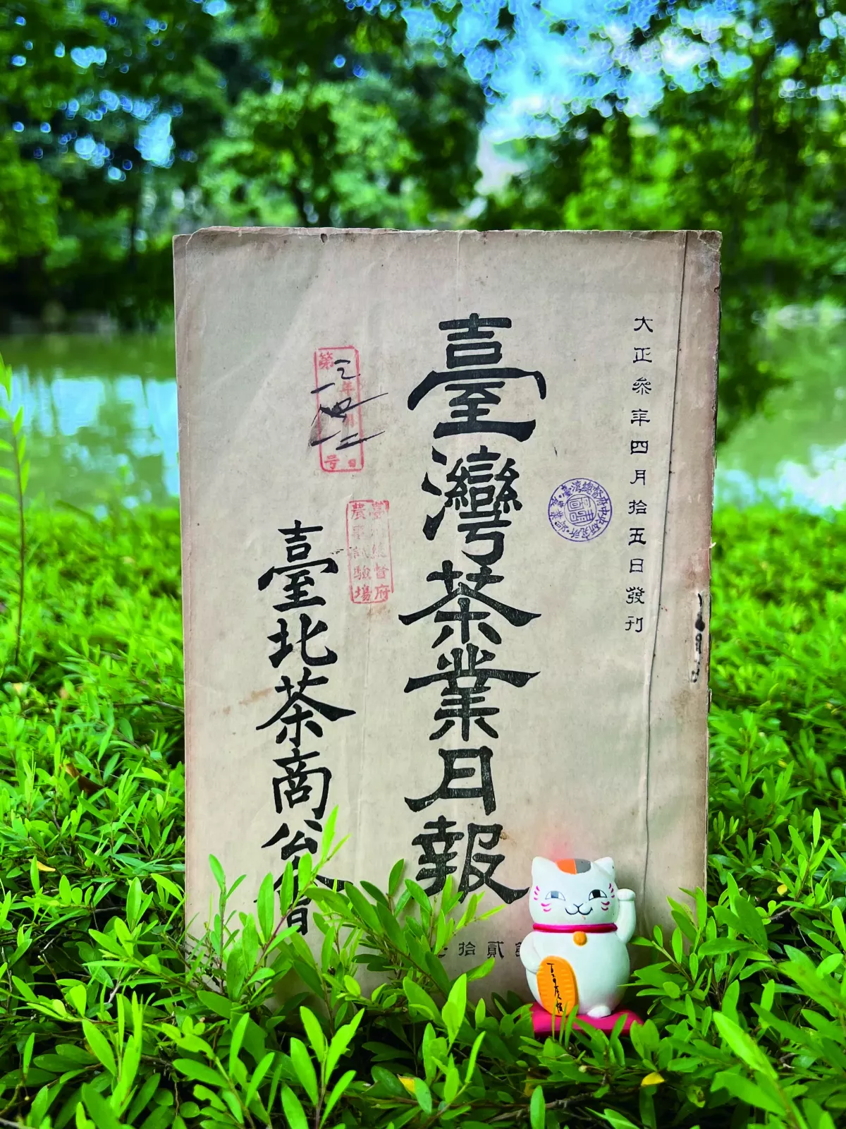 【研朱札記】端午致東方美人    