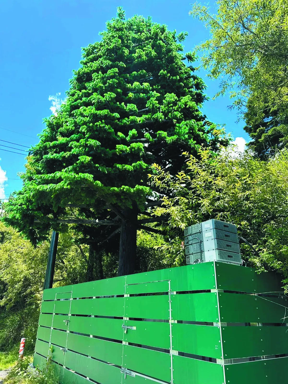 綠樹…基地台