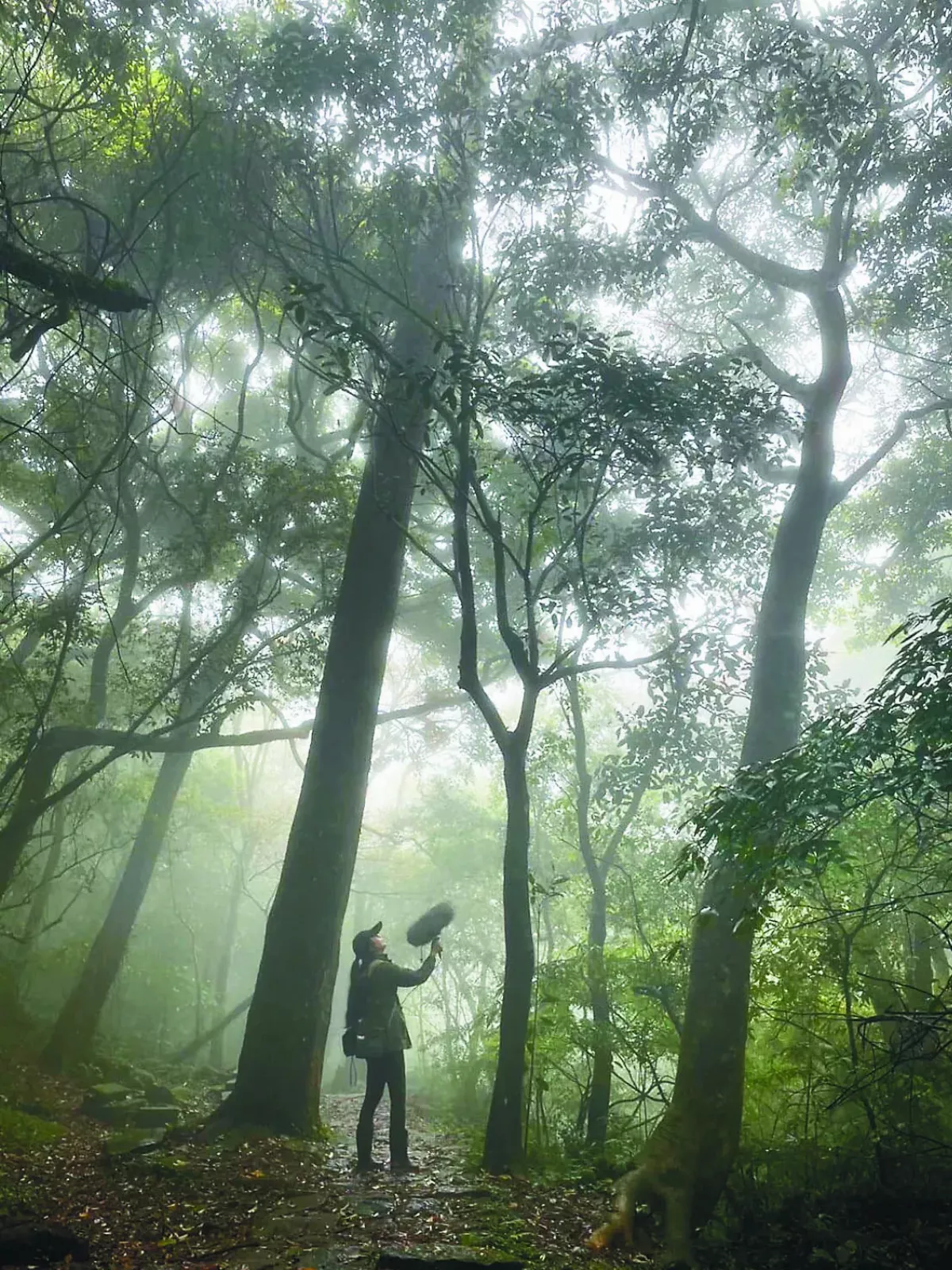 寧靜追蹤師 找尋台灣55分貝以下靜土