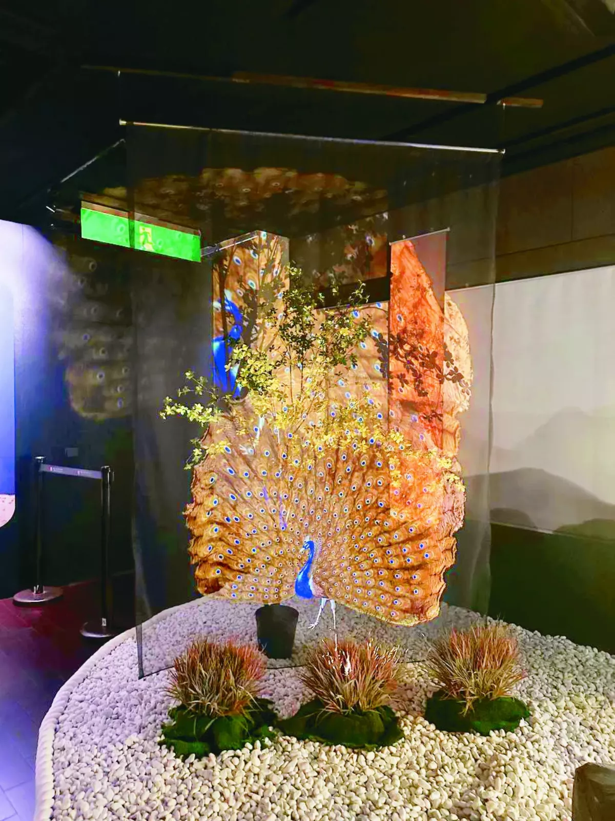 故宮沉浸數位展 進古畫感受四季