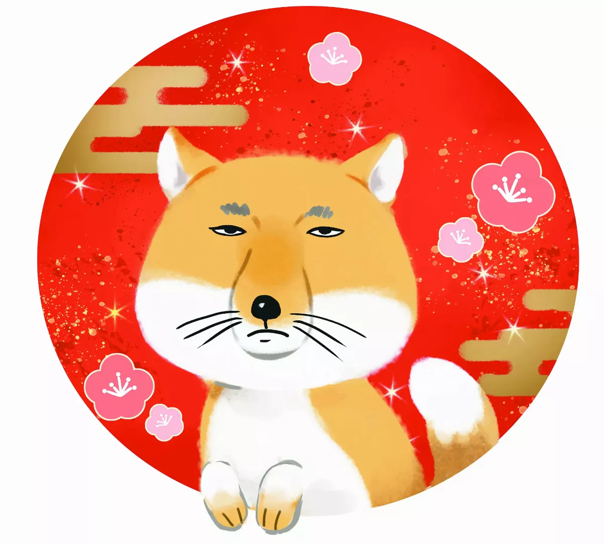 【趣味動物園】呆萌可愛的藏狐