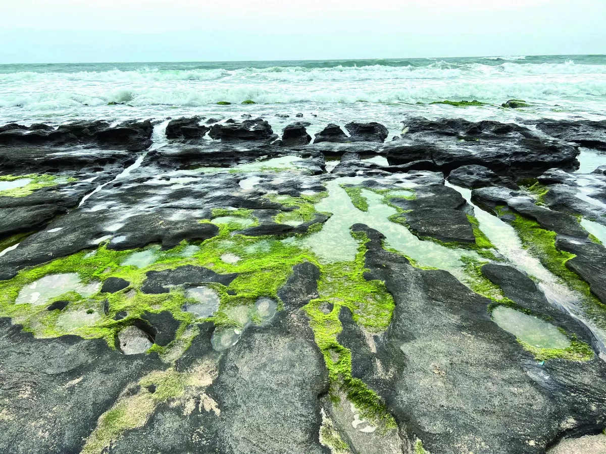 【愛護地球】郊遊不忘淨灘