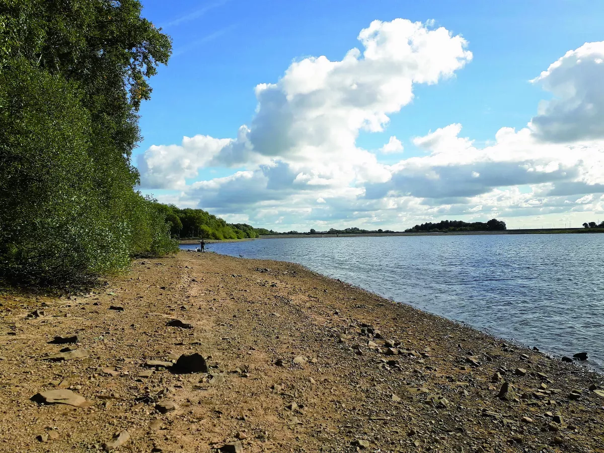 【生活快門】學習獨處