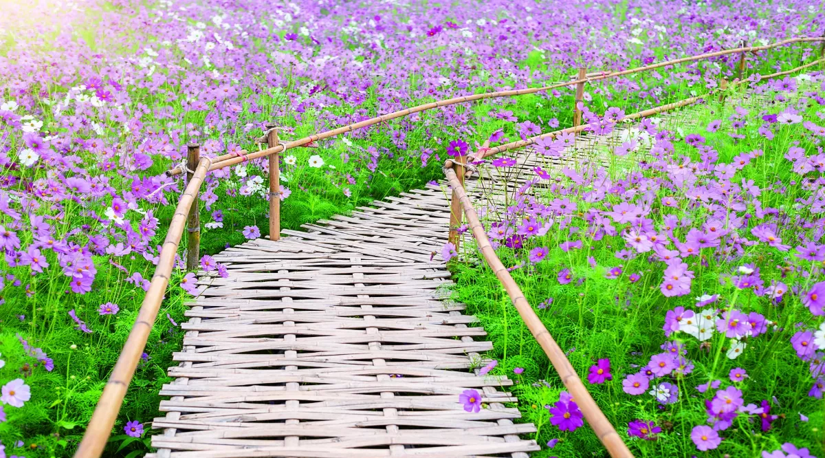 佛法真義2佛學思想(68) 不忘初心