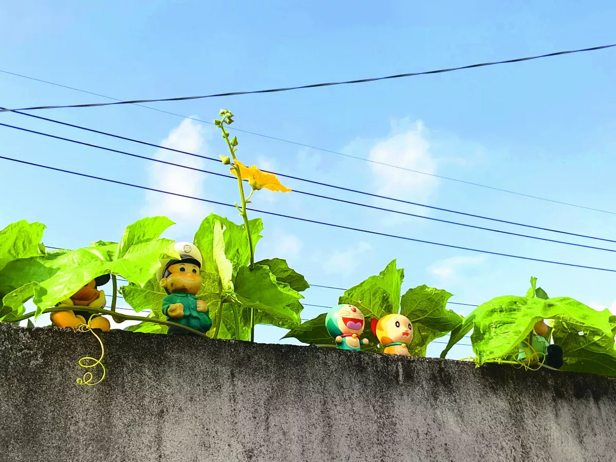 【生活快門】幫公仔遮陽