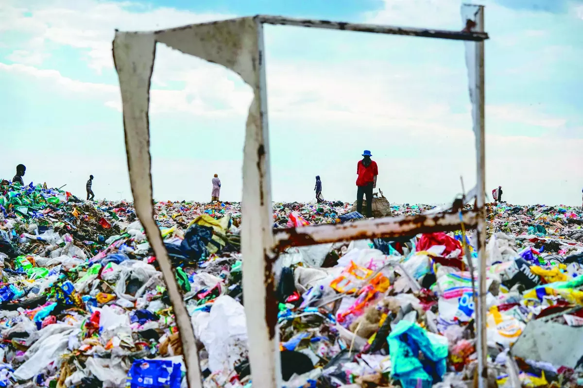 臨界點因子交互作用 生態系統恐加速崩壞
