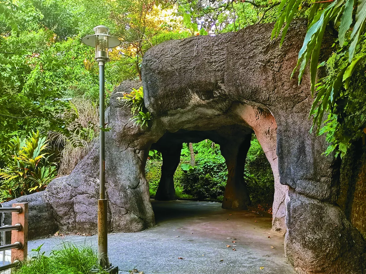 【走讀城鄉】城市覓徑──安康森林公園