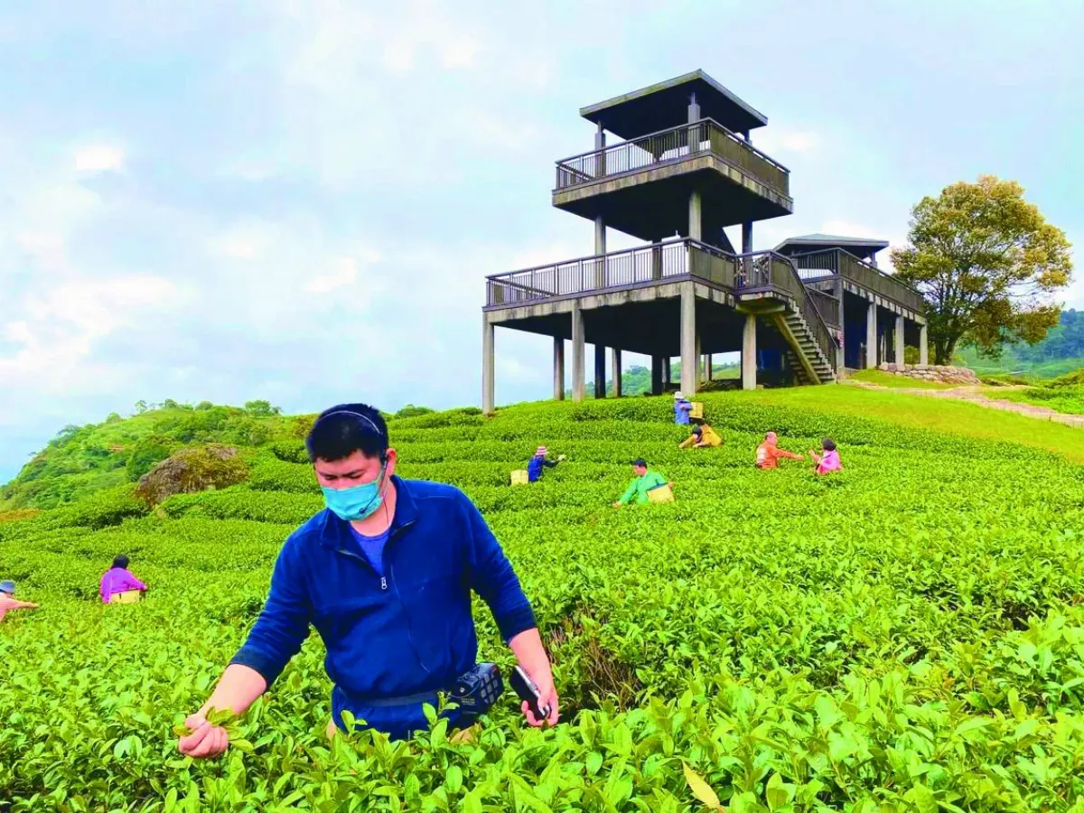 最高榮譽3星獎  茶農林俊傑製蜜香紅茶  獲美食奧斯卡獎