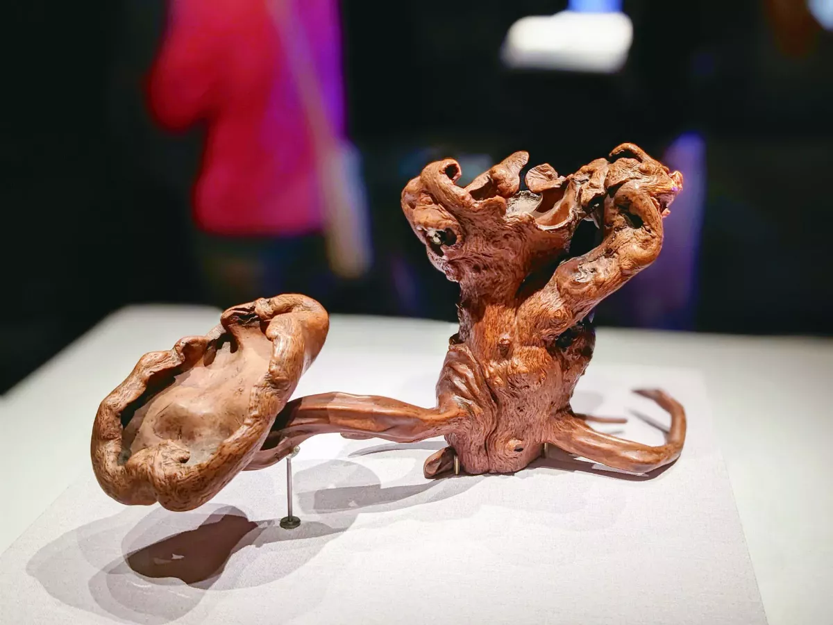 故宮南院國寶展 古木奇姿 一窺古代能匠巧思