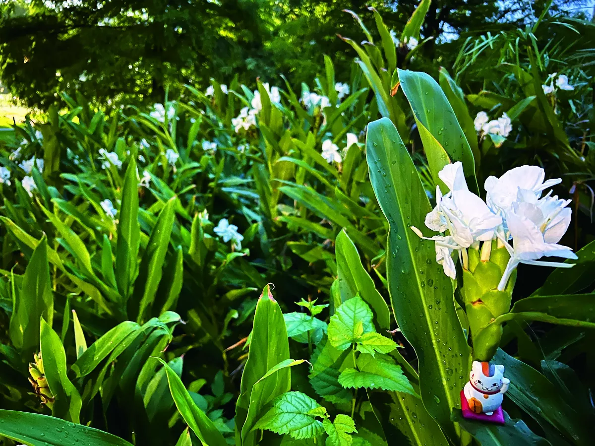 【研朱札記】花香咖啡館