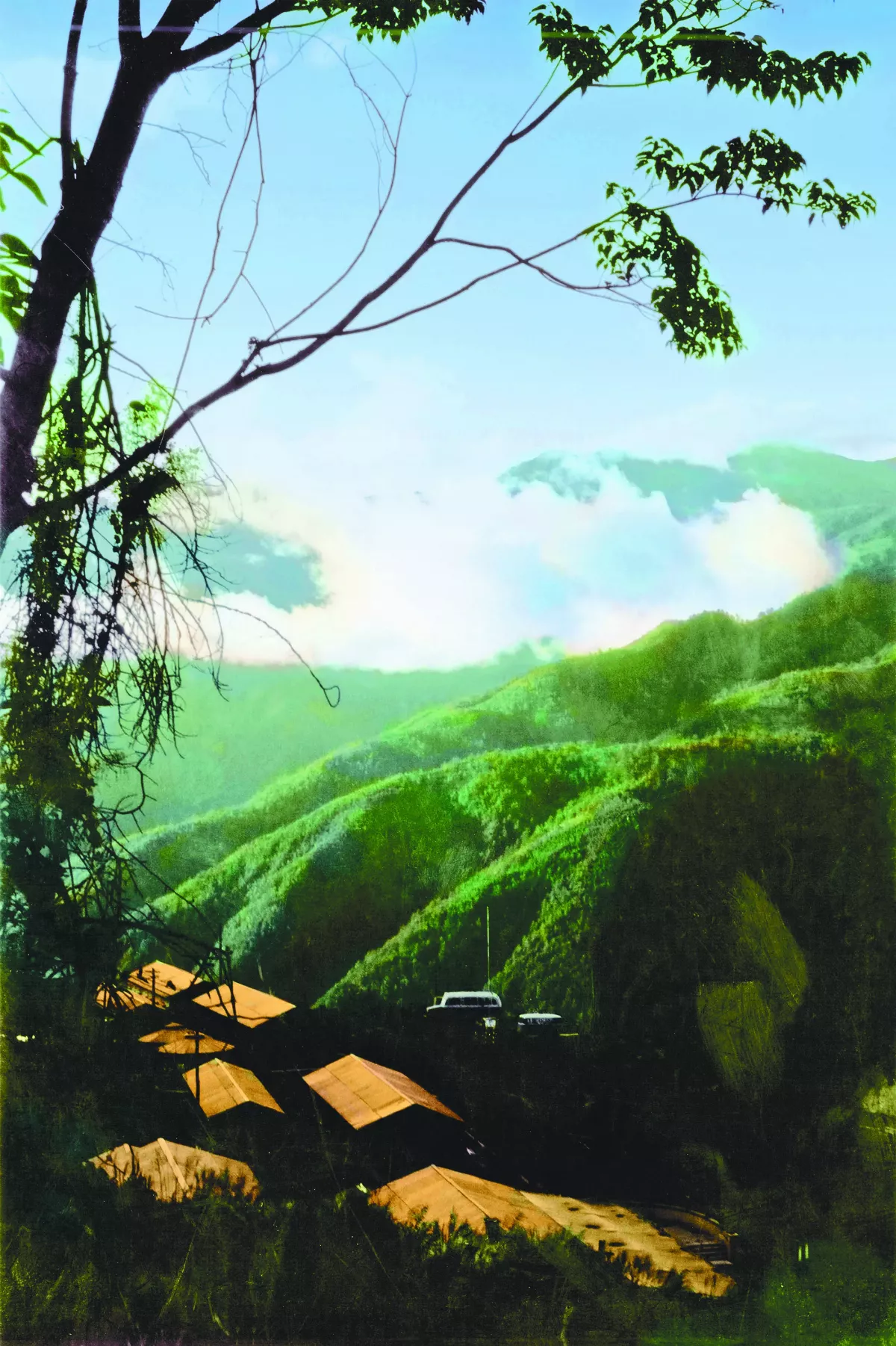 【時光走廊】情深故鄉（17-8） 中橫沿線山地