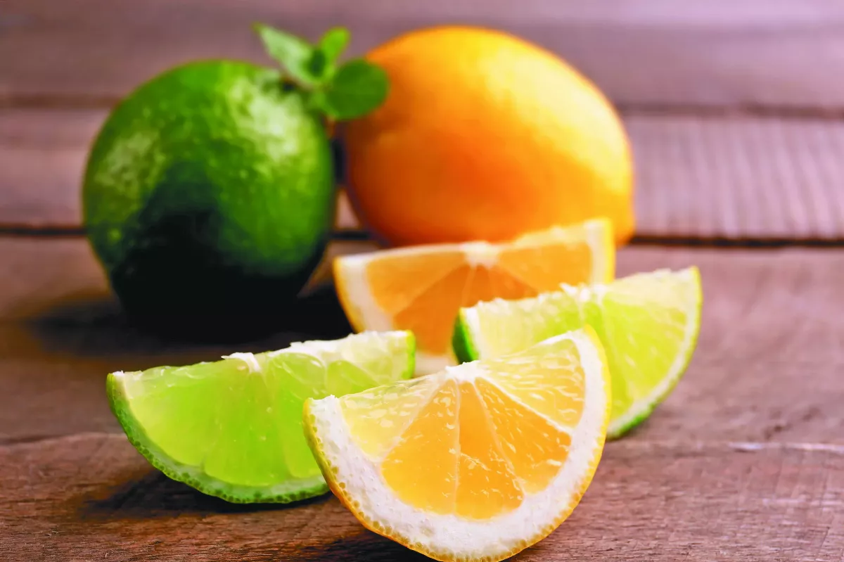 檸檬或萊姆？  分辨訣竅看種籽