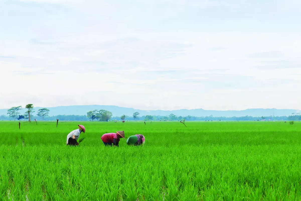 【佛法真義2佛學思想73】日日是好日