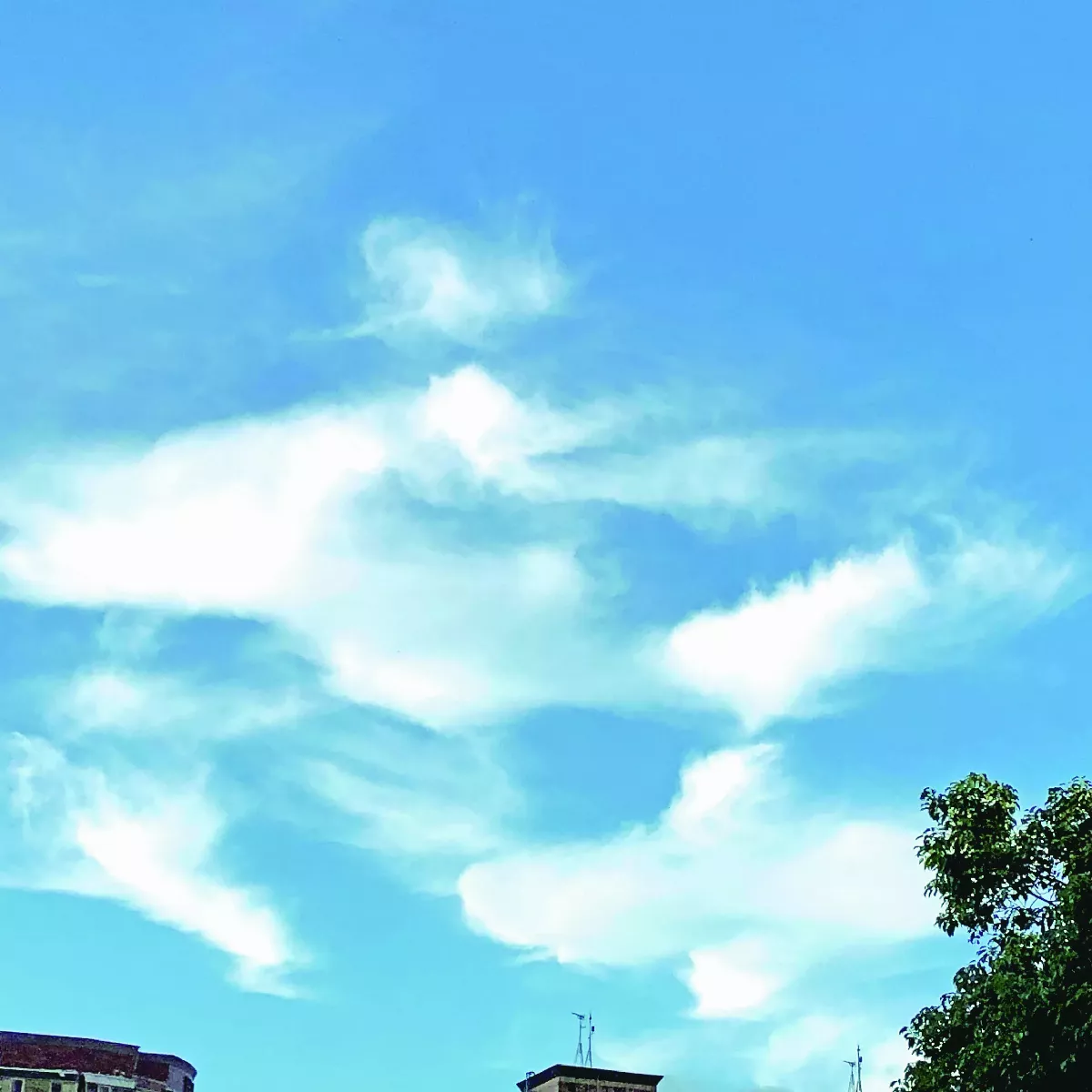 【紅塵禪煙】浮雲