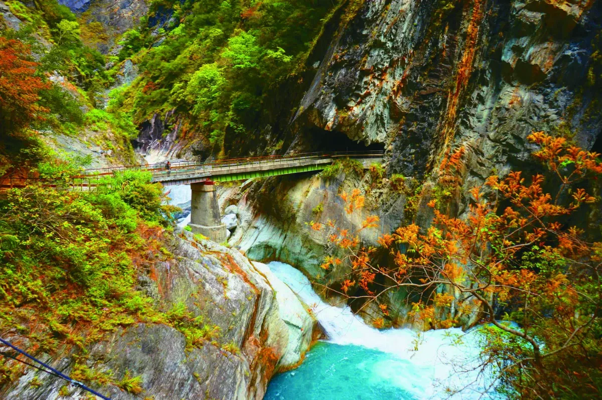 太魯閣白楊步道 15日起重新開放