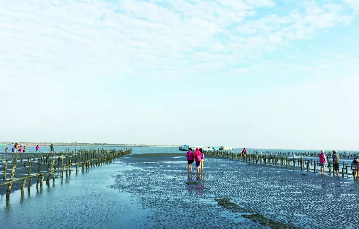 【款款飛行】航向外傘頂洲，浮壤之夢      