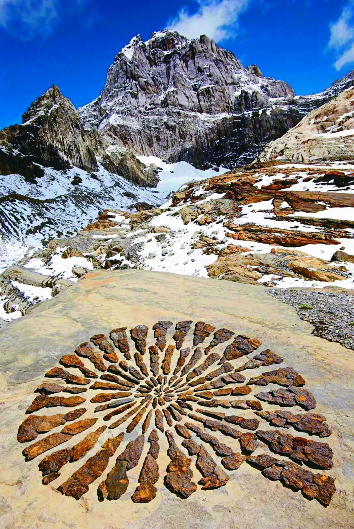 美在當下 循環藝術觸動人心