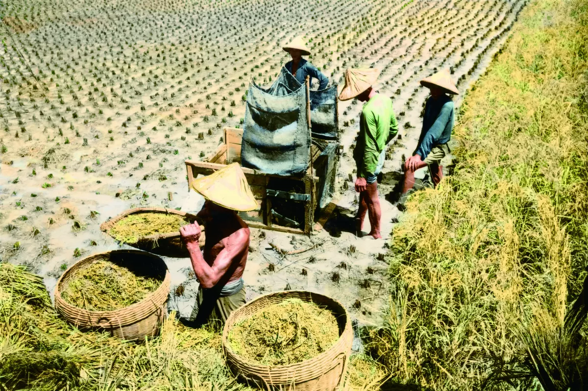 【時光走廊】情深故鄉（17-9） 南台灣