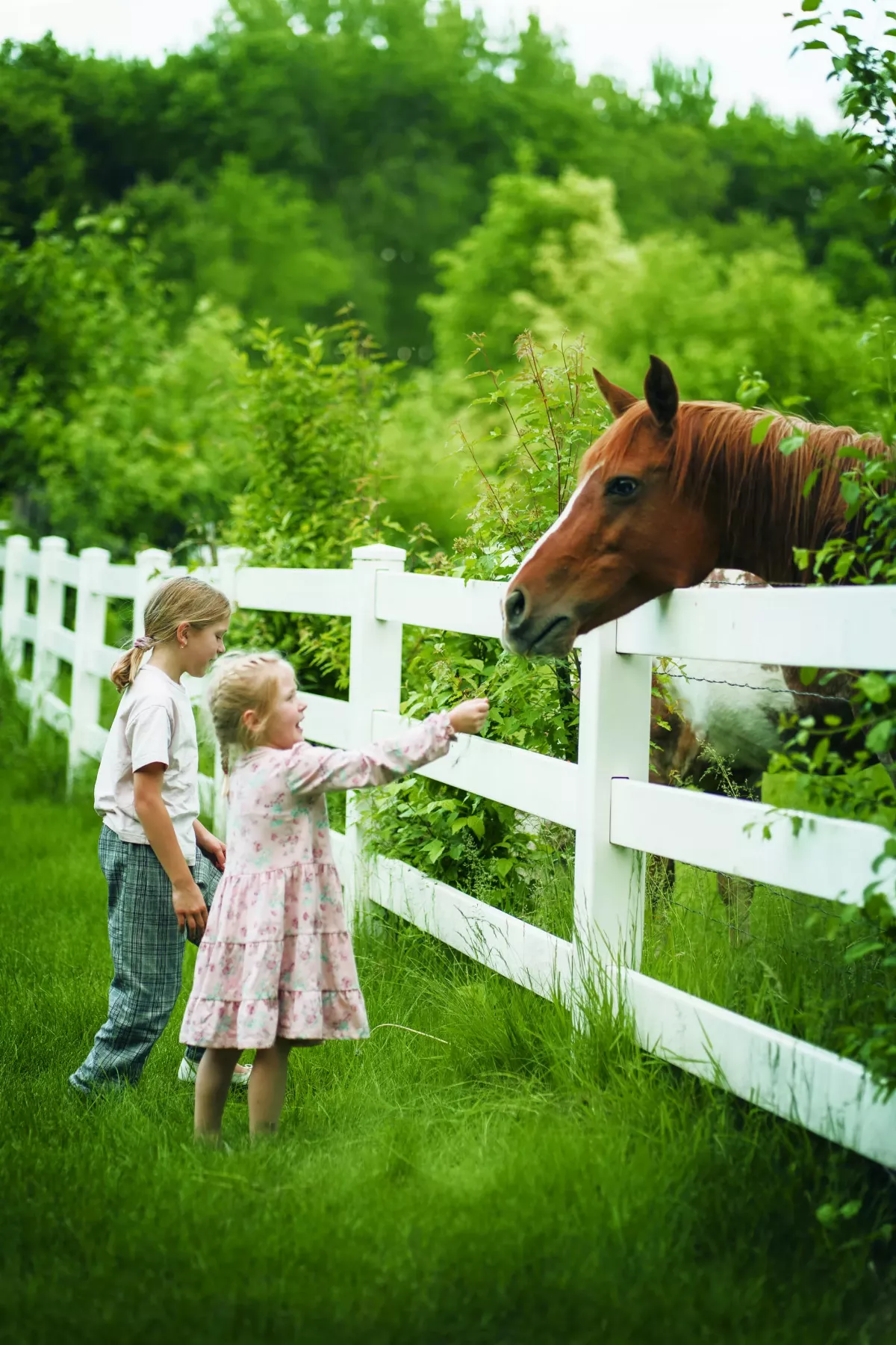 【佛法真義2  佛學思想75】天地人