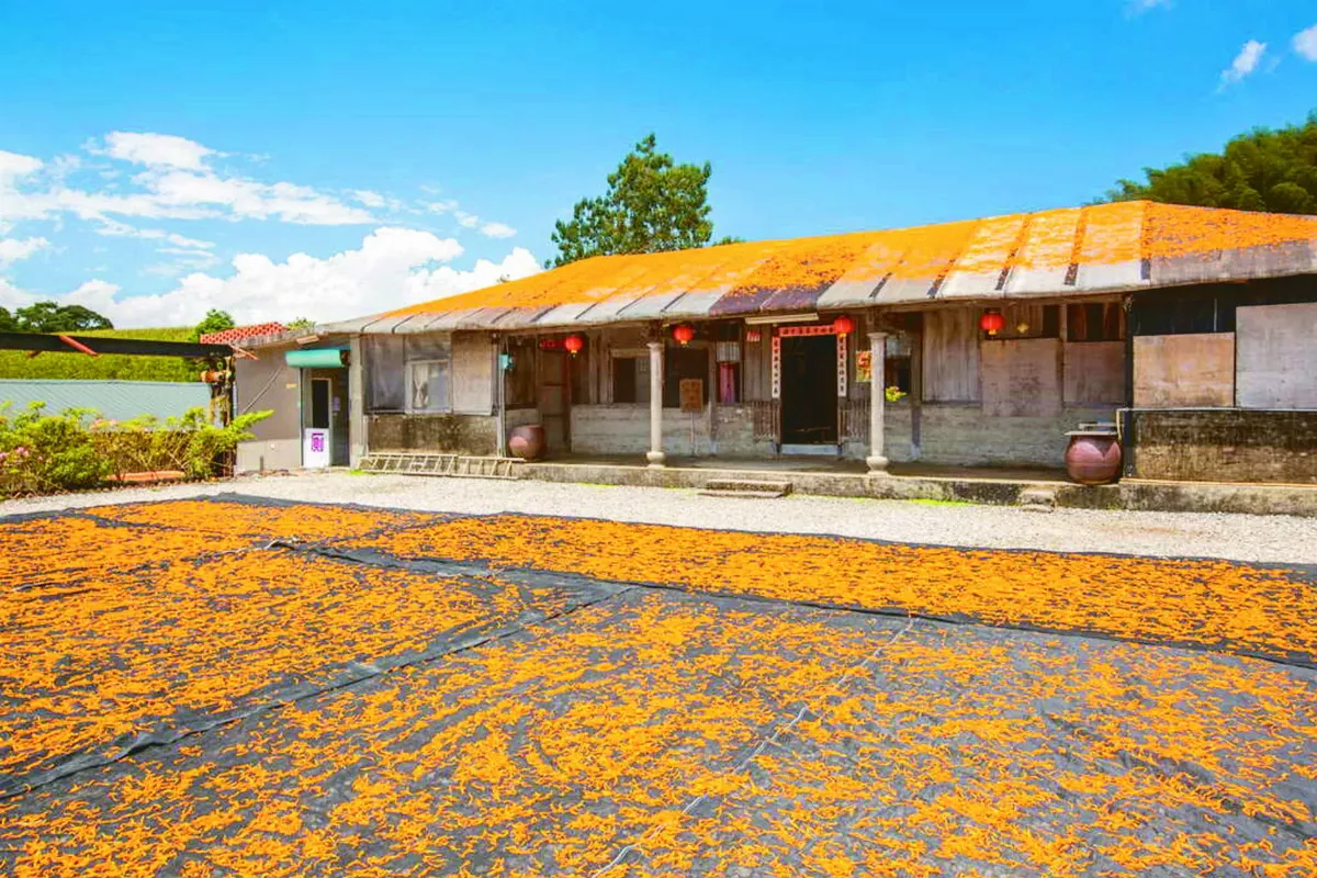 花蓮．玉里  璞石閣尋幽探勝 秀姑巒雲岫疊翠