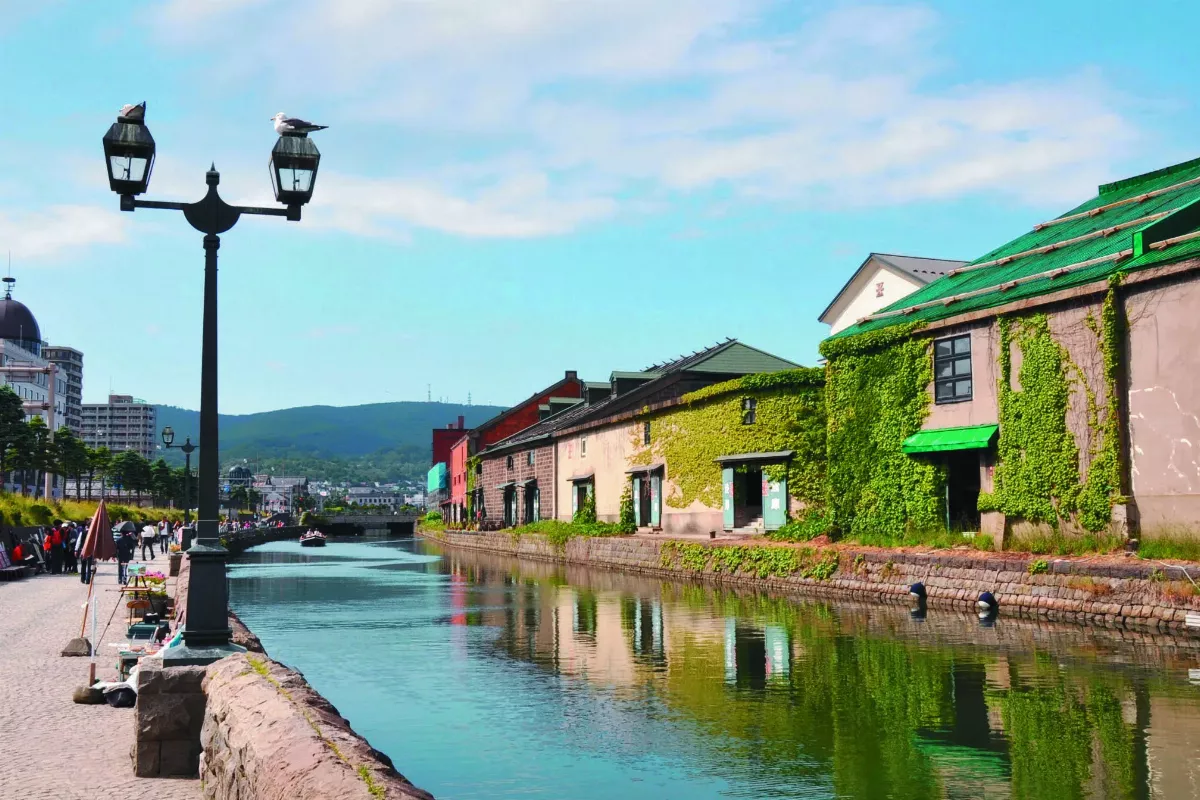 【海闊天空】北海道夏日散步